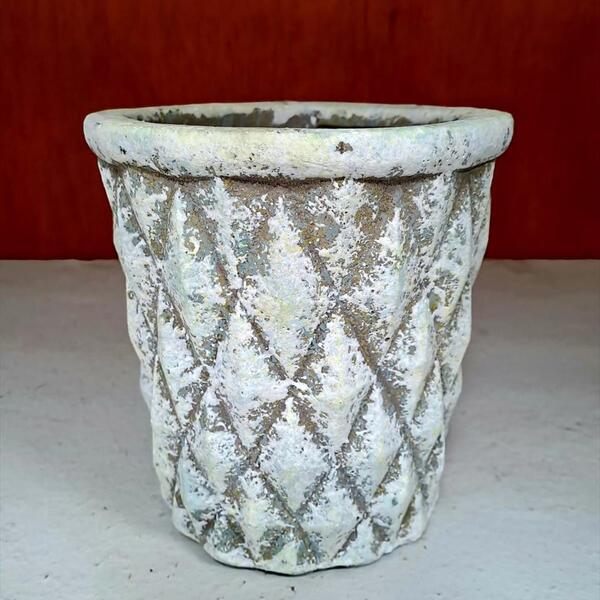 TEST PEDRA AMB SANSIVIERA