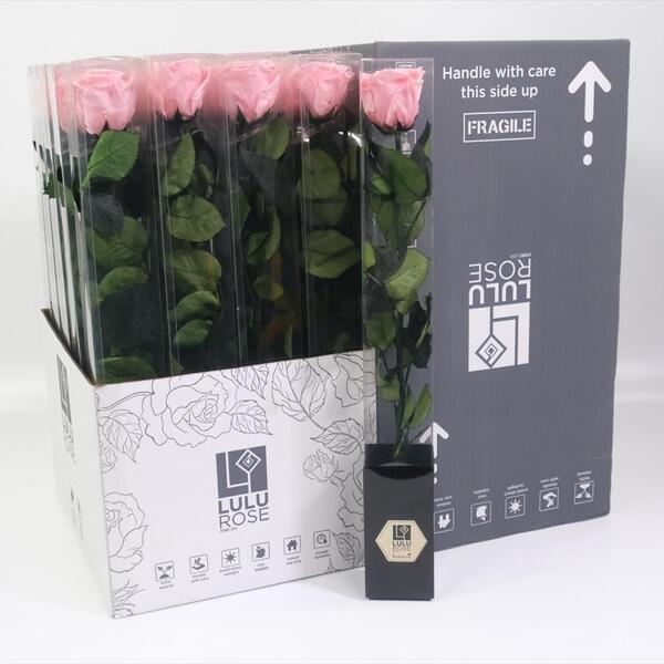 ROSA PRESERVADA 50CM PINK