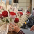 ROSA PRES. SANT JORDI VERM. 52CM llaç i espiga 