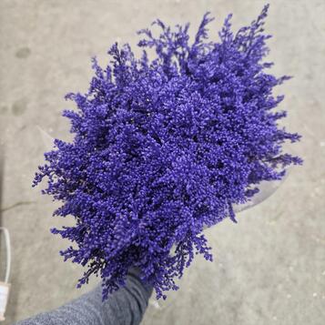 Flor cortada al por mayor en Maresme y Barcelona: frescura, variedad y calidad